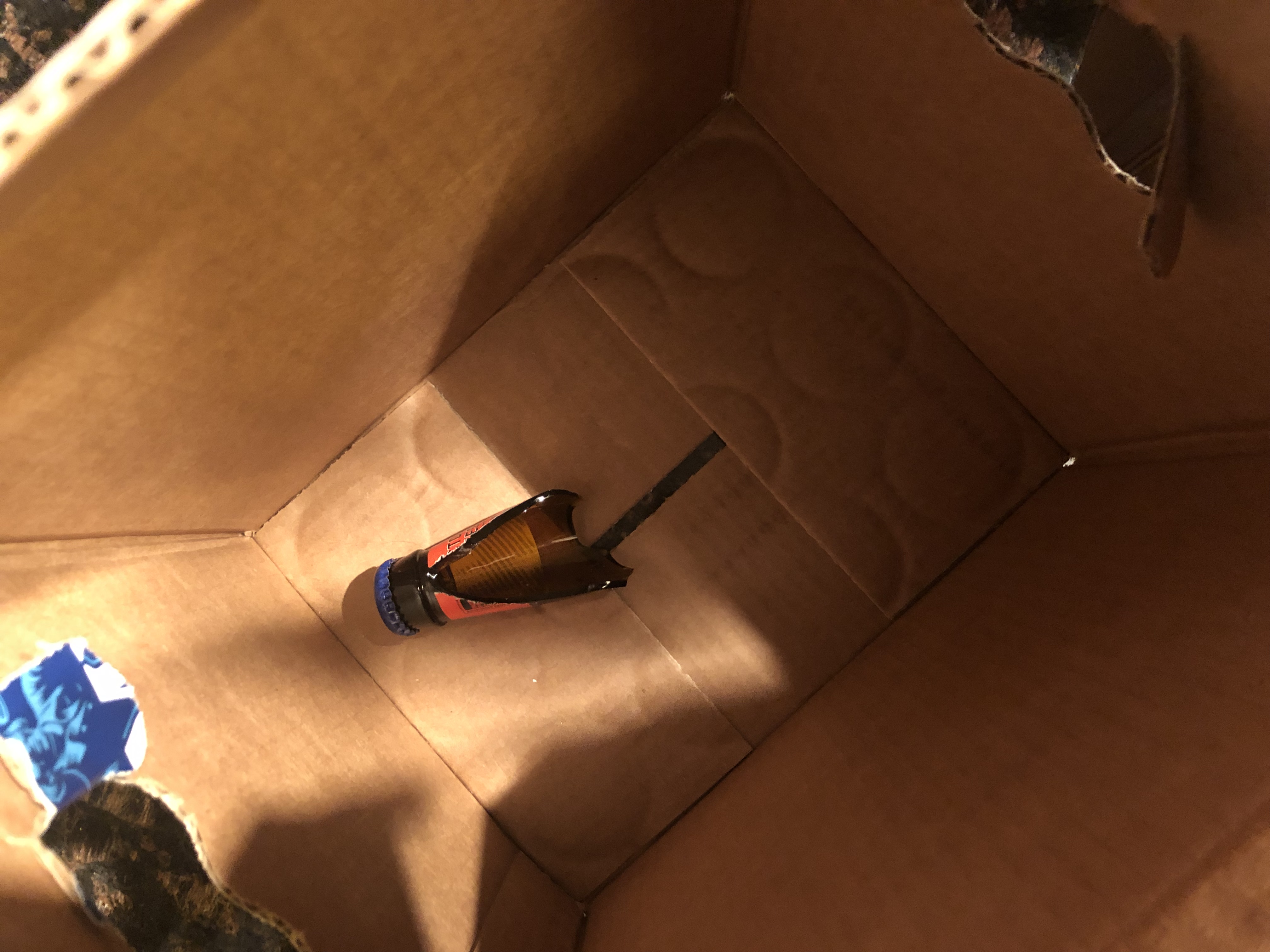 Photo 0150cdb1 - Captured with iPhone X