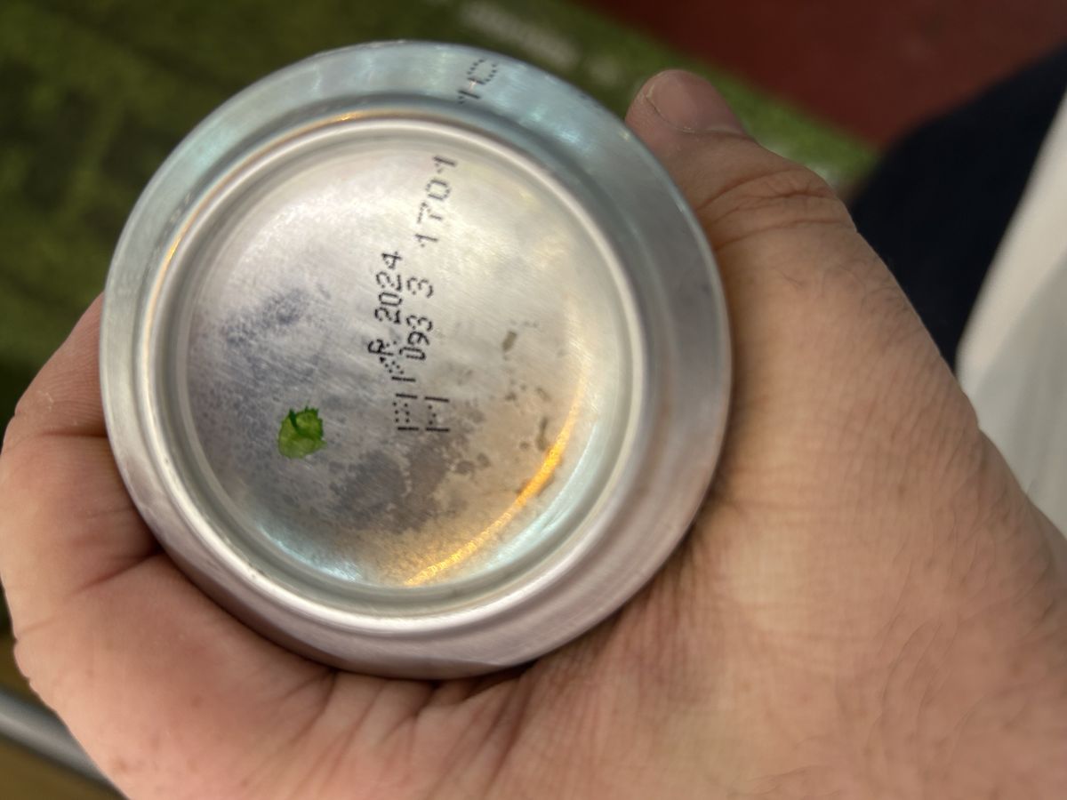 Photo 252ebc53 - Captured with Camera